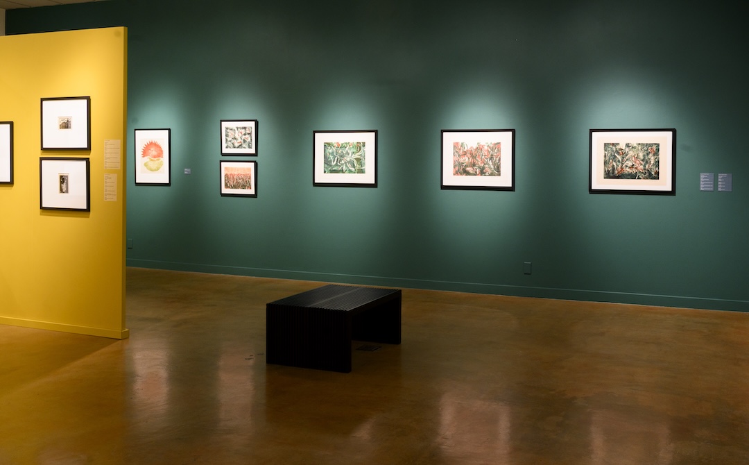 Essential Adaptations: Printmaking from Costa Rica