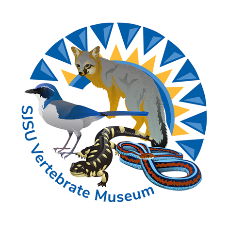 logo featuring a bird, lizard, snake, and coyote with blue and yellow triangles emulating a spartan helmet plume